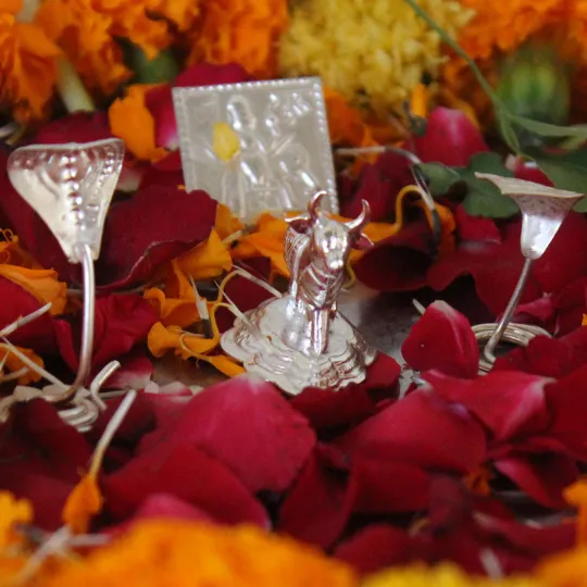 Kaal sarp dosh puja