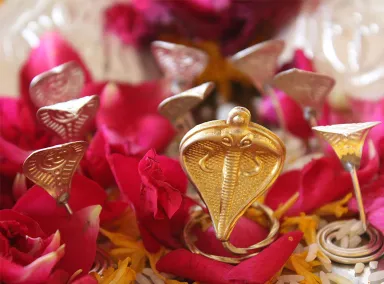 Kalsarp puja